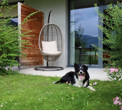 Border Collie liegt auf Rasen vor Gartenzimmer mit Hängesessel