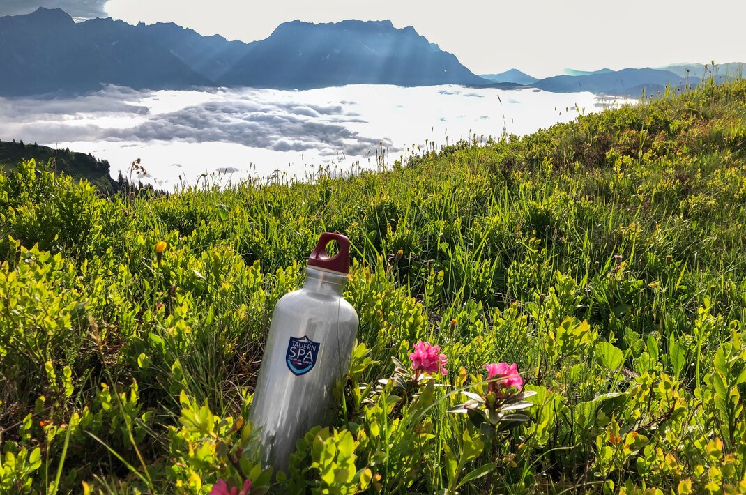 Trinkflasche in Almwiese mit rosa Blumen vor Bergpanorama mit Wolkenmeer
