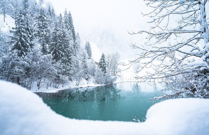 Klammsee im Winter mit Schnee bedeckten Bäumen und blaugrünem Wasser