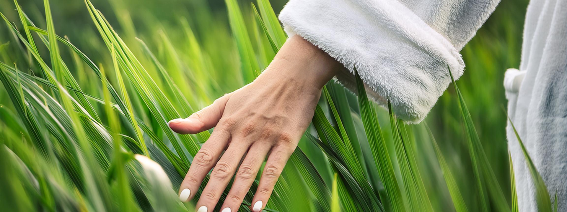 Hand in fluffy bathrobe caresses green blades of grass