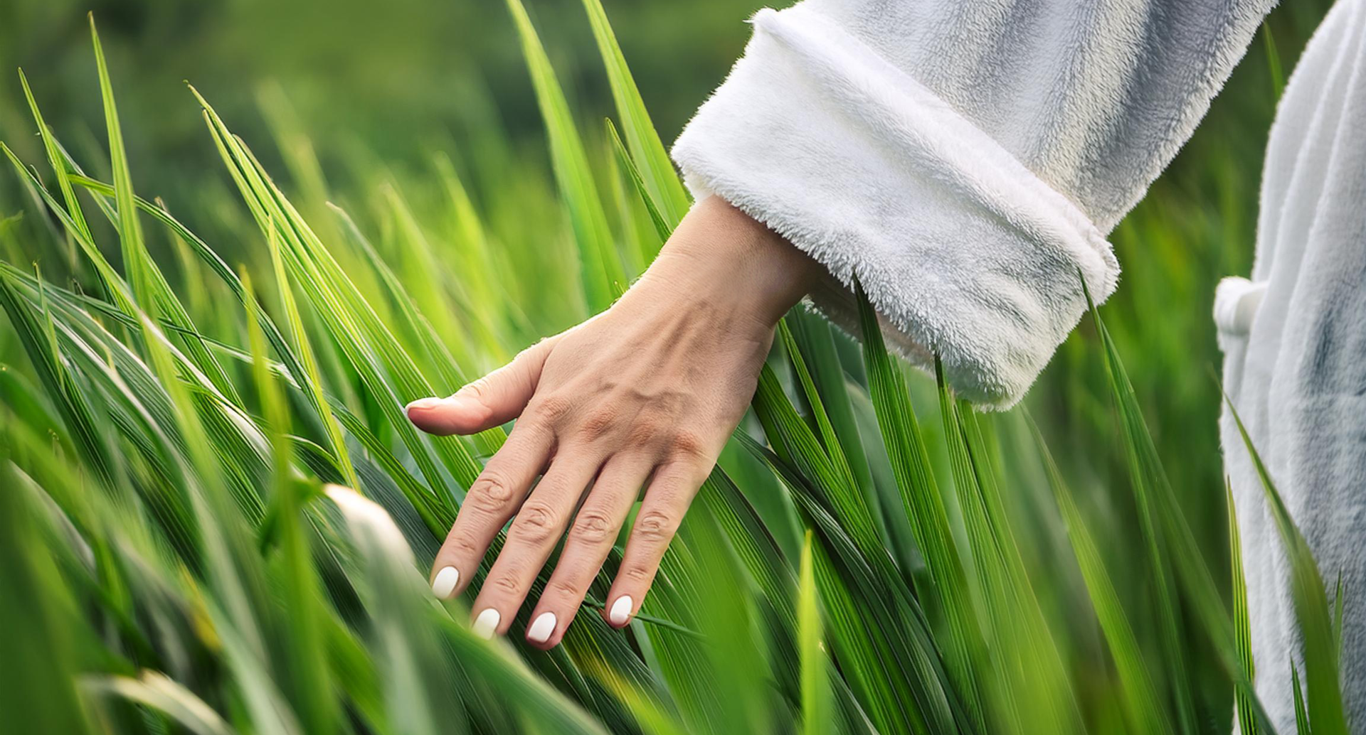 Hand in flauschigem Bademantel streichelt grüne Halme